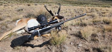 Customer Don Y took this great Antelope with one shot at 740 yards with his .300 Win Mag we helped w