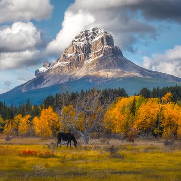 Crowsnest Mountain shot by Stacy William Head of Sentinel Photography. Crowsnest Pass Senior Housing