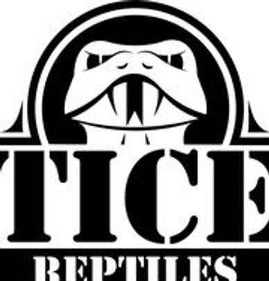 tice reptiles