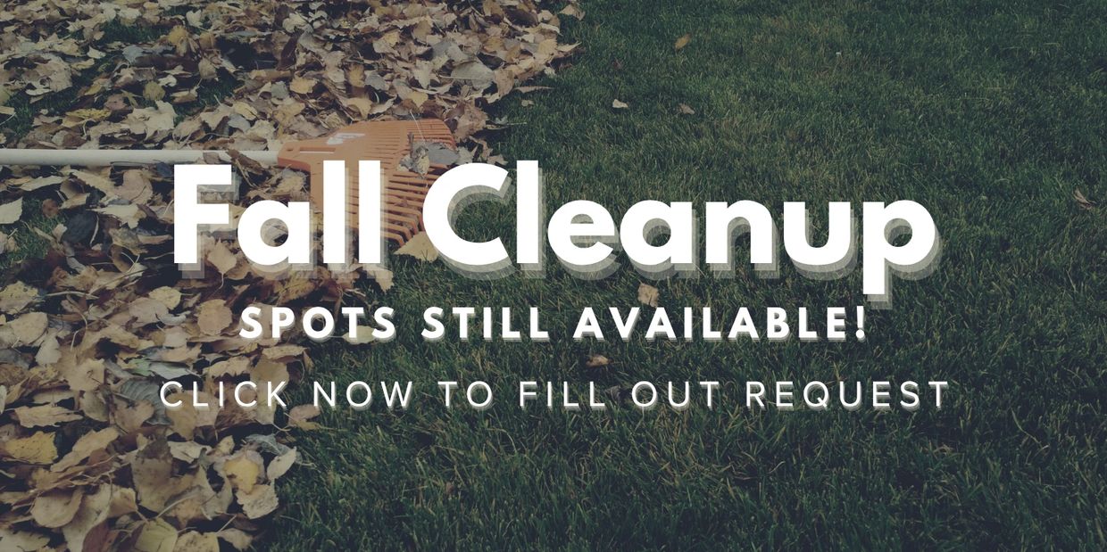 Fall cleanup service promotion with leaves and grass.