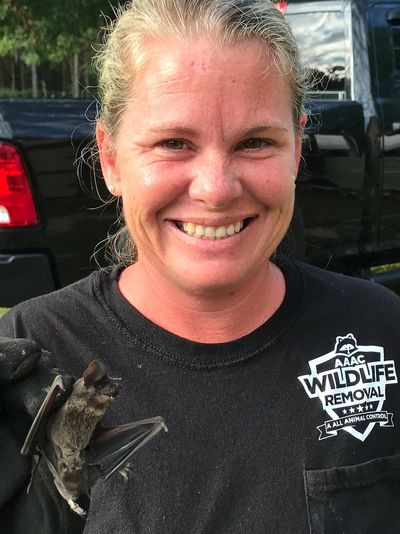 South Carolina Wildlife Control & Animal Removal Services - Critter Control