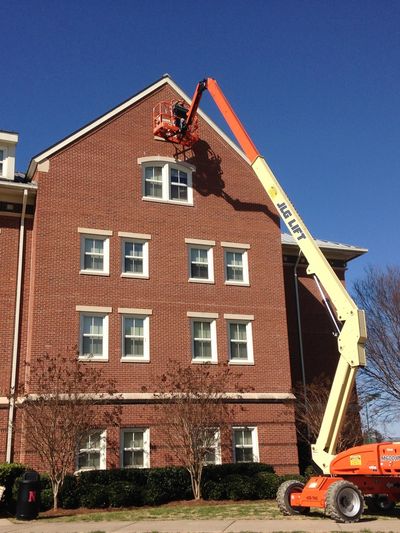 Commercial building bat removal