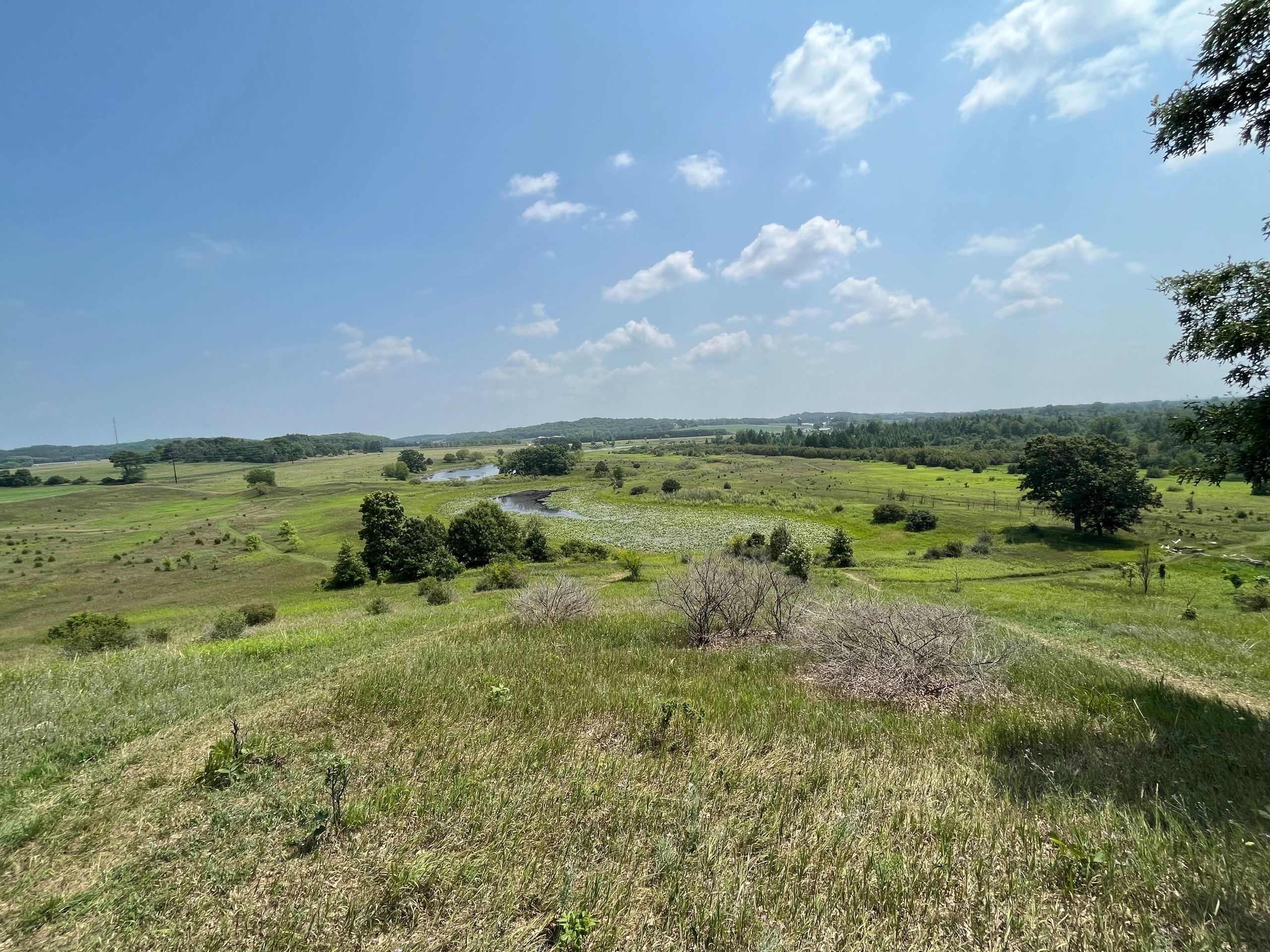 Stream/Wetland Mitigation