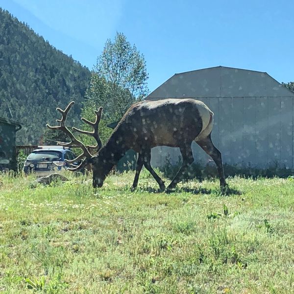 Glen Haven General Store Cinnamon Rolls, Glen Haven