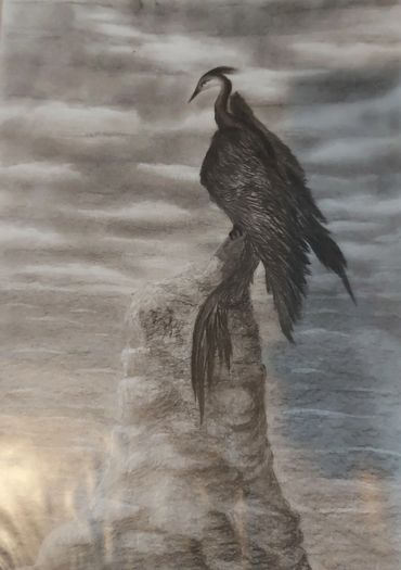 - schwarzer Vogel -  2015 Kohlezeichnung A4 