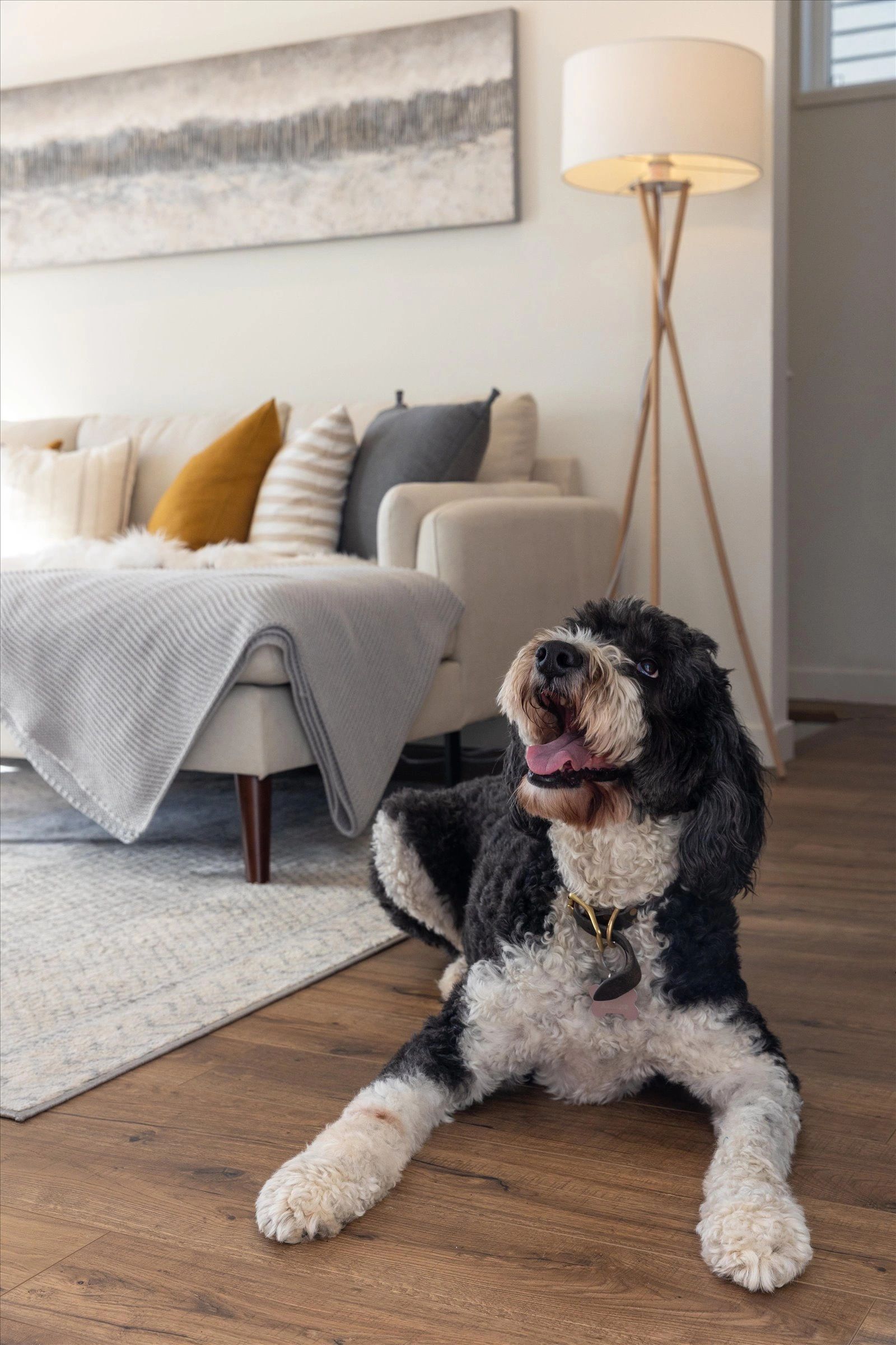 New Homes for Rent Orchard Street Cottages