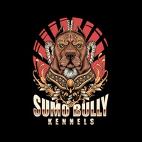 Sumo Bully Kennels