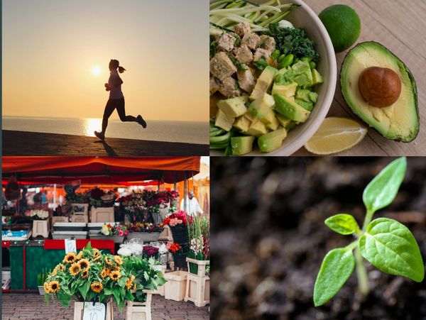 A collage showing jogging, healthy food, a flower market, and a growing plant.
