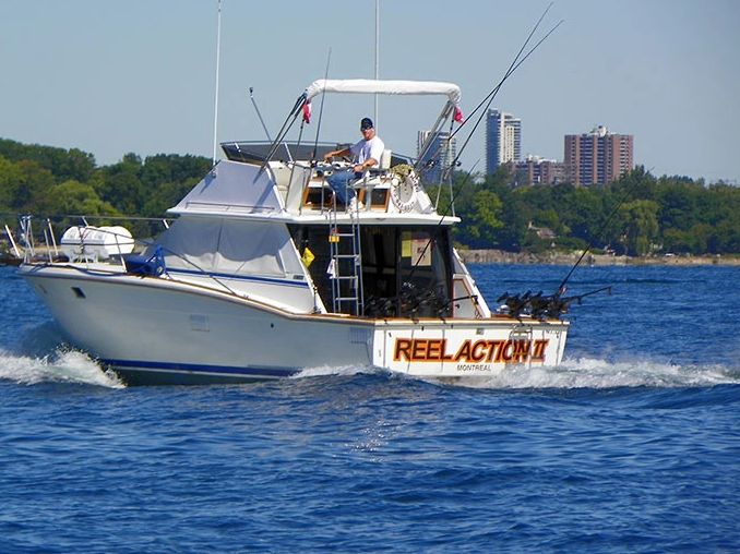 Reel Action Fishing Charters - Fishing Charters, Salmon Fishing