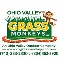 Ohio Valley       Grass  Monkey's                  *Family Owned*