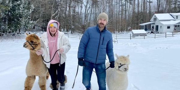 Winter is an Alpacas happy place.  They love this time of year!