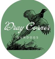 Dray Corner Gundogs