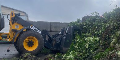 JCB loader clearing green vegetation.