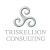 Triskellion‎ ‎Consulting