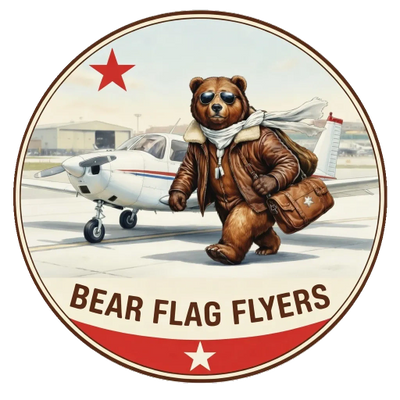 A bear in aviator gear walking confidently near a small plane.