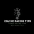 Equine Racing Tips