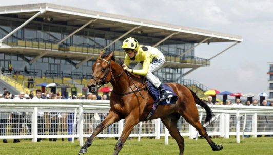 Jockey in yellow racing a brown horse on a grass track.