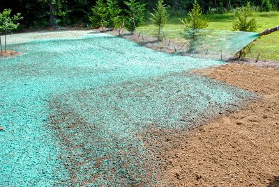 Freshly sprayed grass seed with hydroseeding mulch on prepared soil.