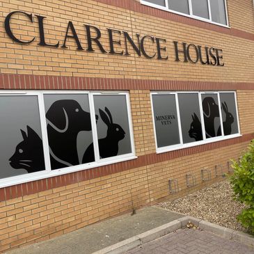 Animal clinic window art at Clarence House.