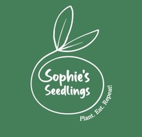 sophiesseedlings.com