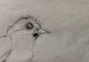 the sketch that started it all...