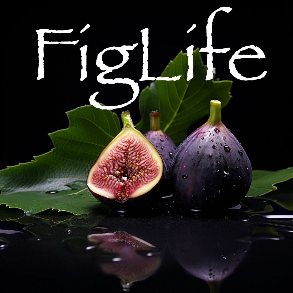 (c) Figlife.com