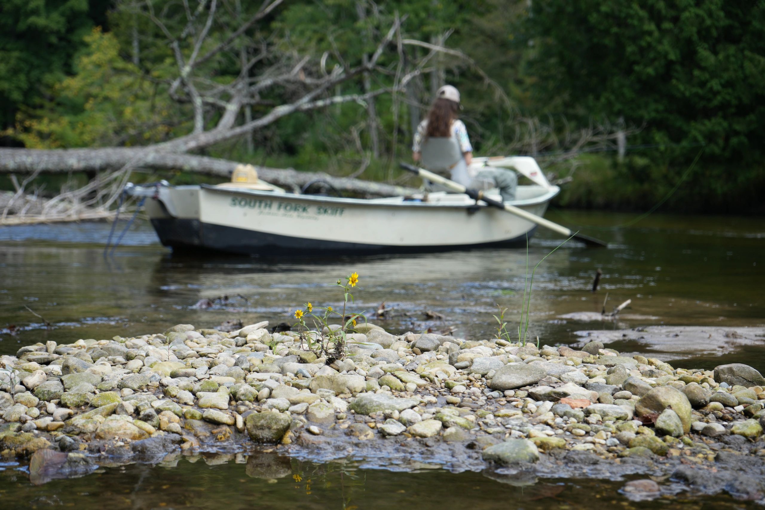 Full Day Drift Boat Adventure Pere Marquette River