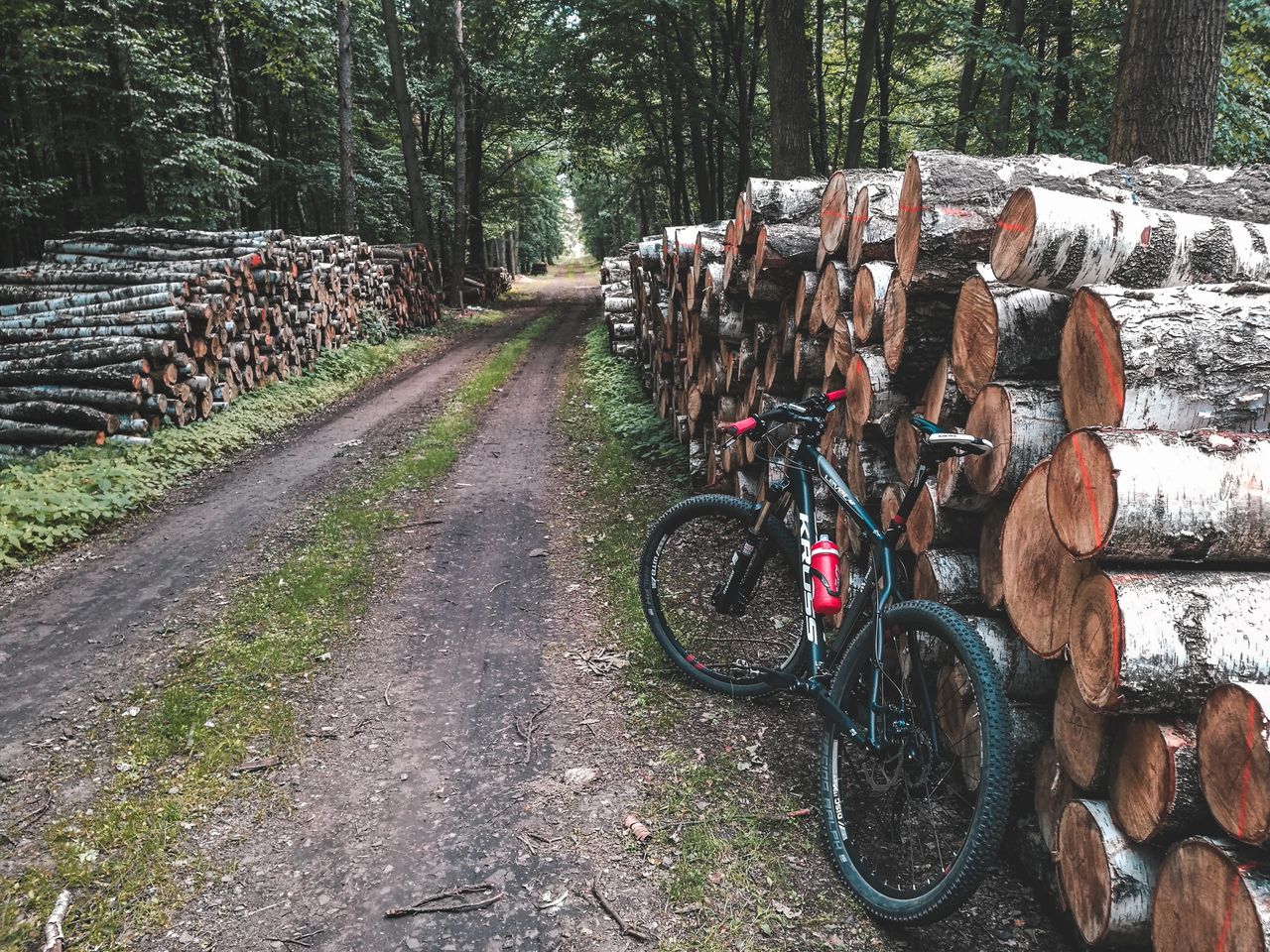 Top Places To Ride Your Electric Bike in Galway Ireland