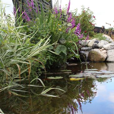 An image of our Pinxton Fish Pond Installation
