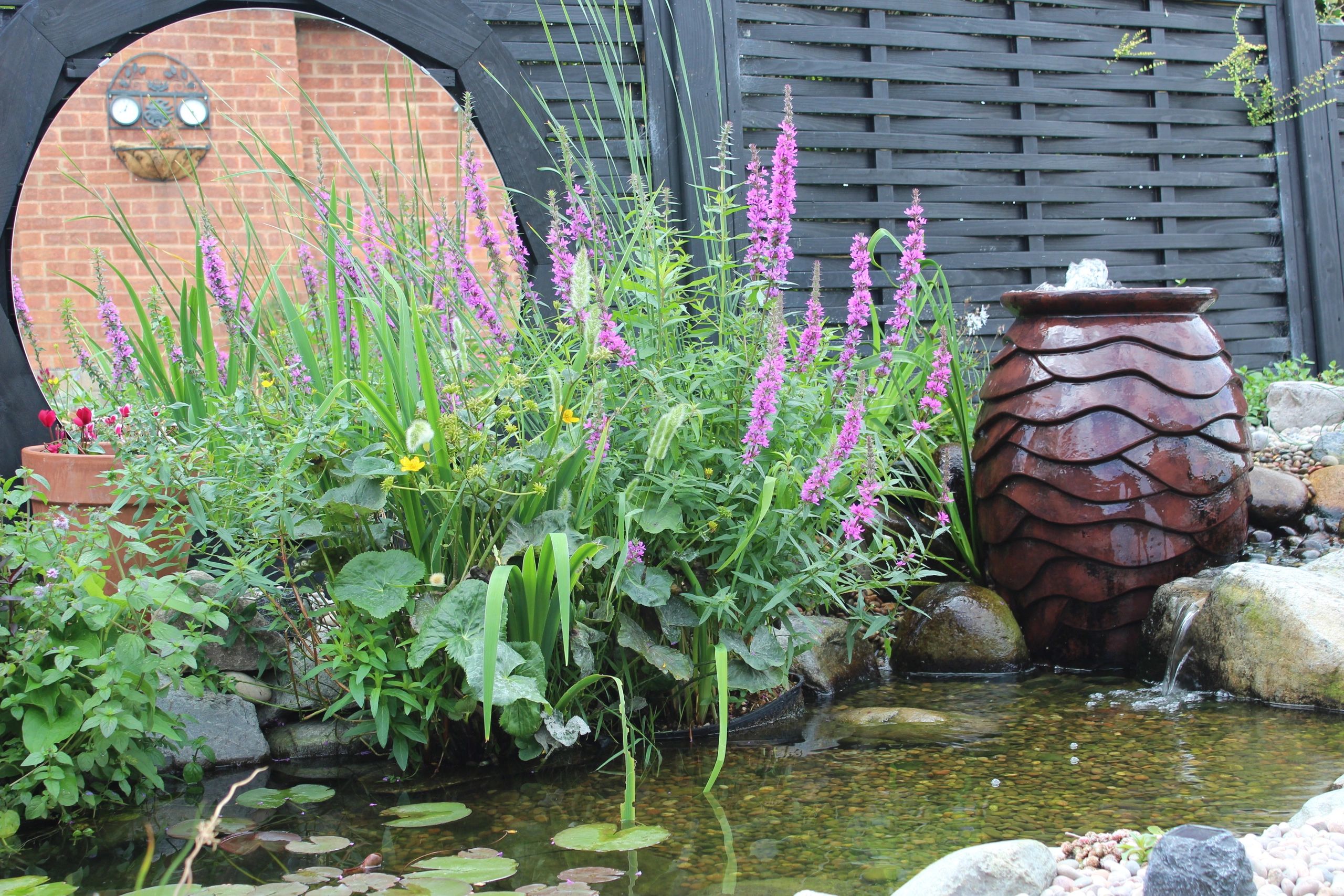 Image of the natural looking pond I built in Pinxton. This pond included a waterfall and fountain.