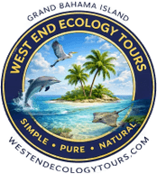 West End Ecology Tours