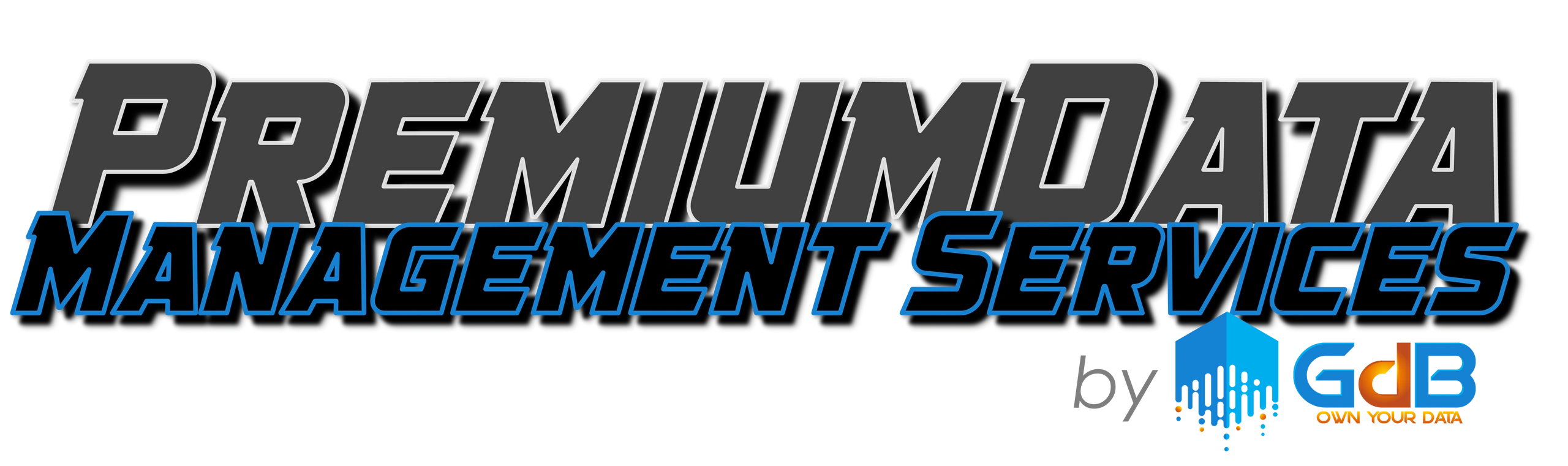 Premium Data Management Services by GdB Solutions.