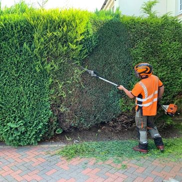 J Smith Tree Surgery And Lanscaping tree surgeon in Rugby Birmingham ...