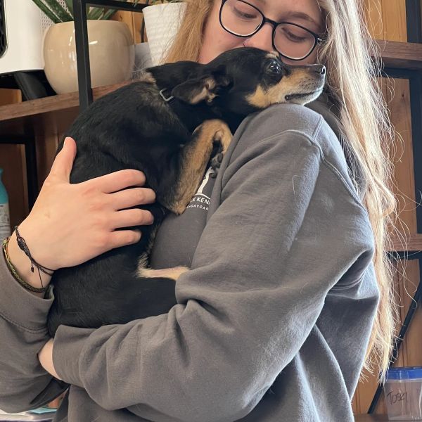 Person lovingly holding a small black dog.