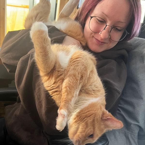 Person cuddling a ginger cat upside down.