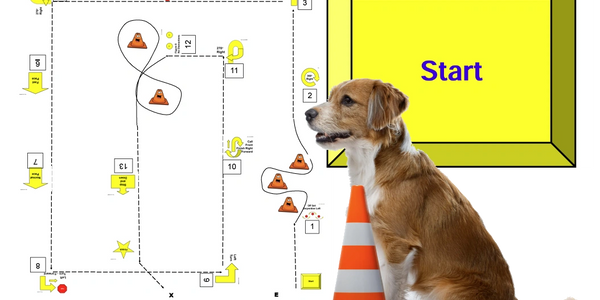 AKC Rally Obedience Novice Class