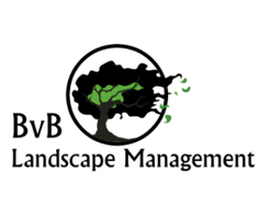 BvB Landscape Management Inc 