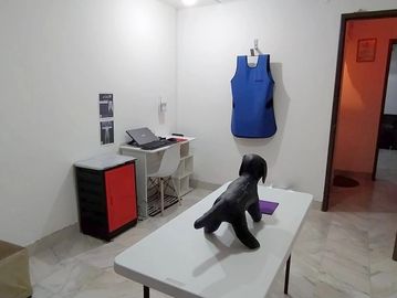 Mascotas, Veteria, Veterinaria Tomografía mascotas, Toluca México, Urgencias veterinarias, Rayos X