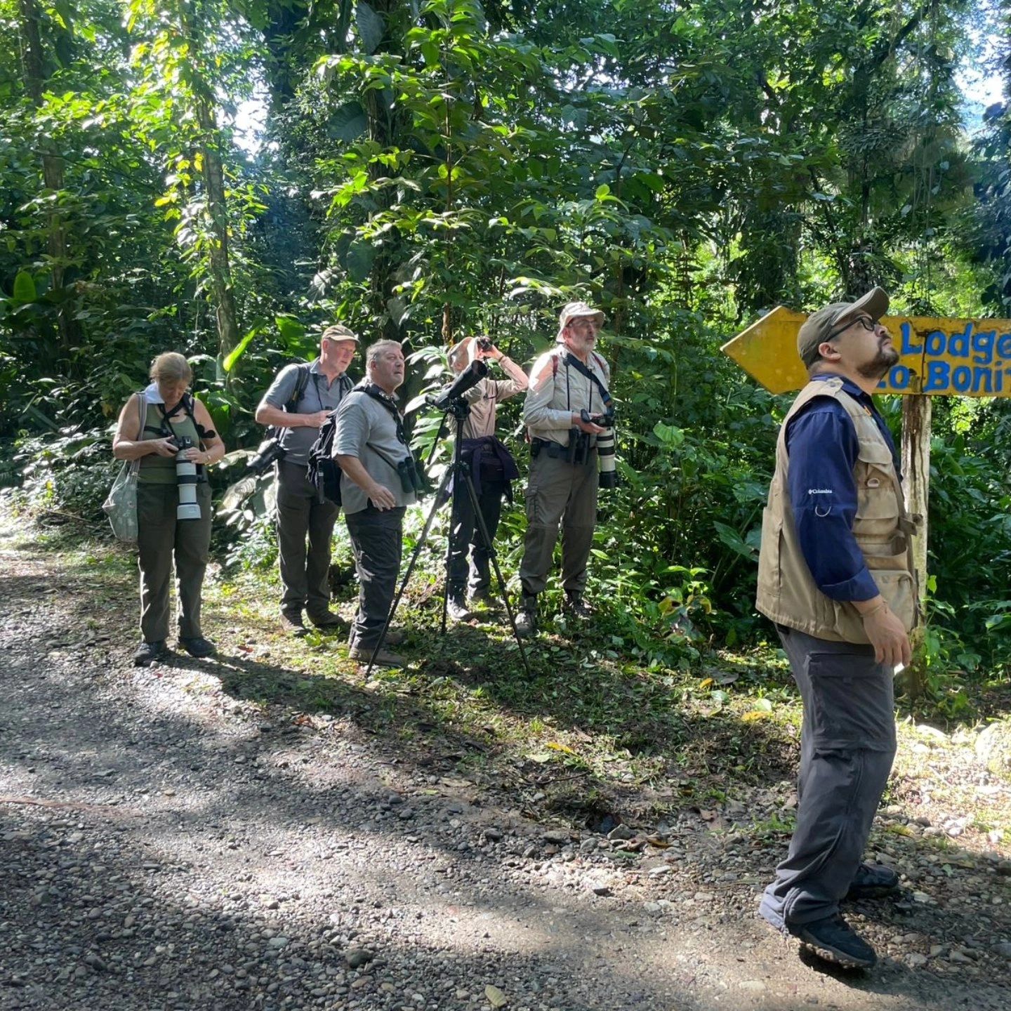 Birding tour in Pico Bonito Lodge
Créditos: Angel Fong/GoBird Honduras
