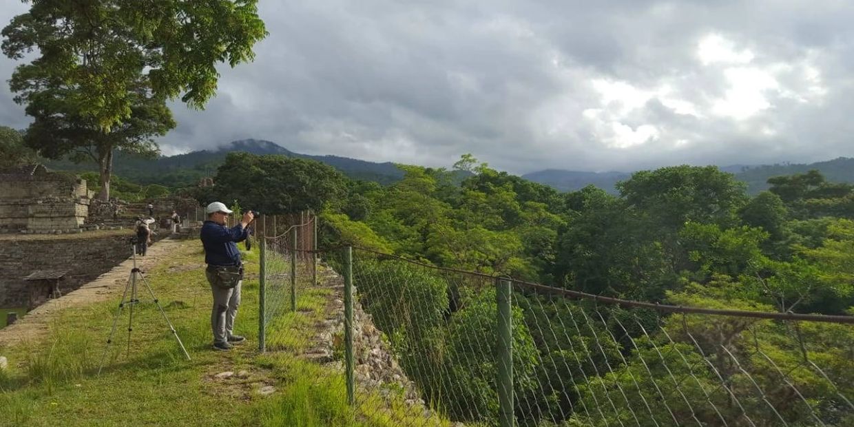 Birding tour at Copan Ruinas arqaeological site.
Créditos: Angel Fong/GoBird Honduras
