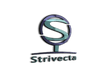 Strivecta LLC - Pharmaceutical Consulting
