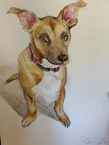 Watercolor painting of a small brown and white dog with a pink collar.