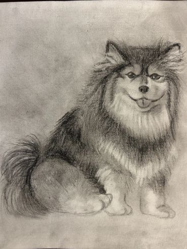 Charcoal drawing of a fluffy dog with a playful expression.