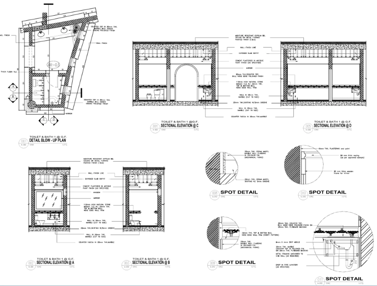 Architectural technical drawing of toilet and bath elevations and details.