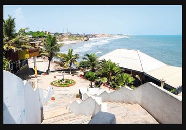 Coastal view from white stairs overlooking palm trees and the ocean.
