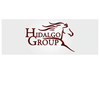 Hidalgo Group LLC