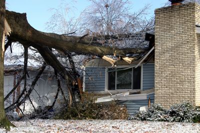 A large tree has fallen on a house, causing roof damage.