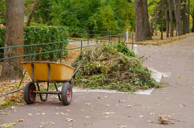 Wheelbarrow and pile of garden debris on a park path.