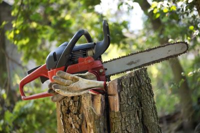 A chainsaw and gloves resting on a tree stump outdoors.
