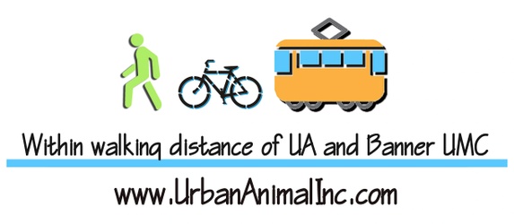 URBAN ANIMAL